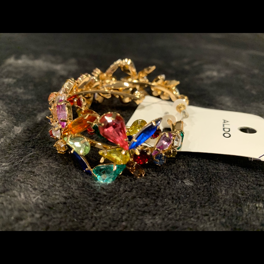 Aldo Costume Earrings Nwt 13$